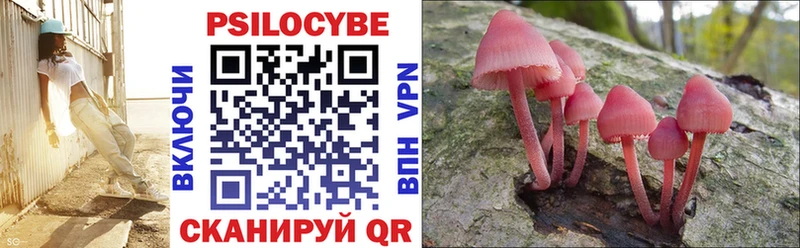 KRAKEN зеркало  Уварово  Псилоцибиновые грибы прущие грибы 