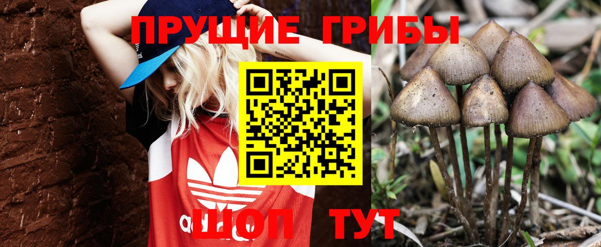 магазин  наркотиков  Псилоцибиновые грибы MAGIC MUSHROOMS  Уварово  Вход с VPN  Псилоцибиновые грибы Psilocybine cubensis 