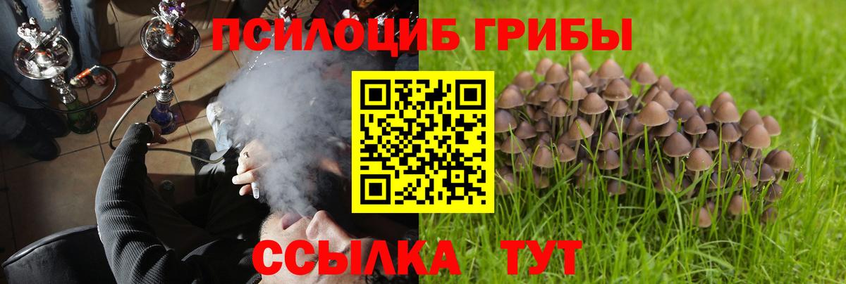 Псилоцибиновые грибы MAGIC MUSHROOMS Уварово
